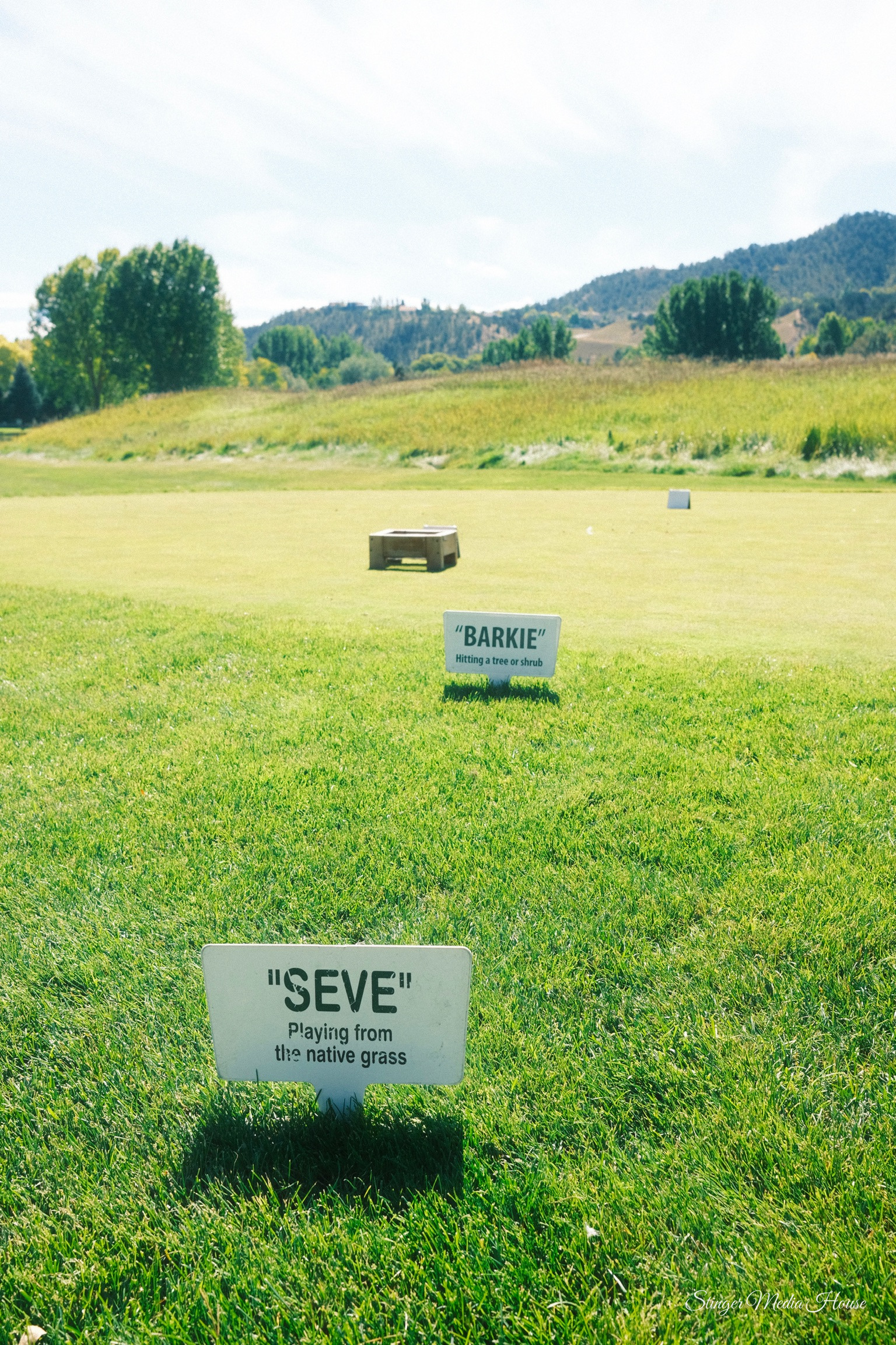 Stinger Media House — Golf Photography