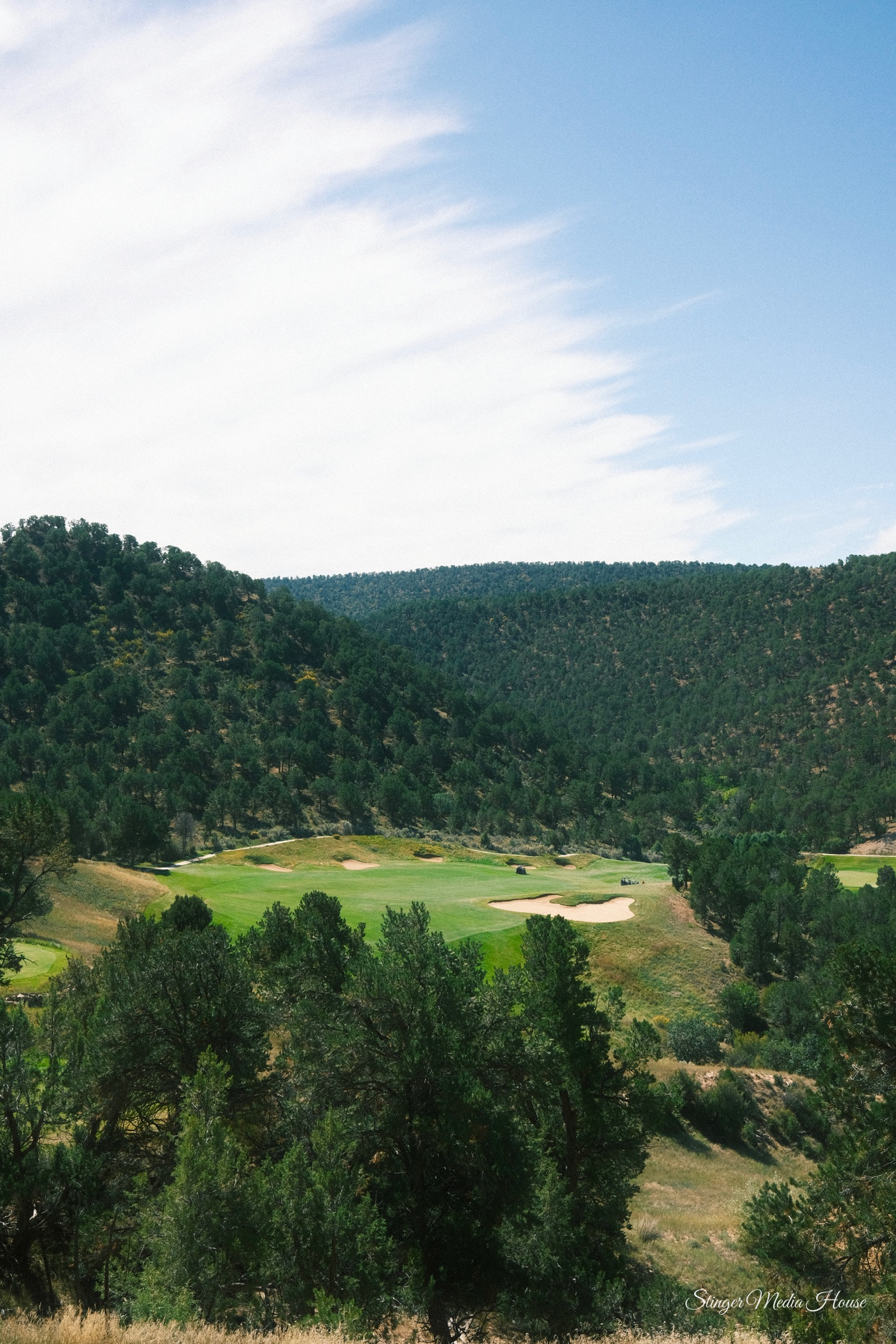 Stinger Media House — Golf Photography